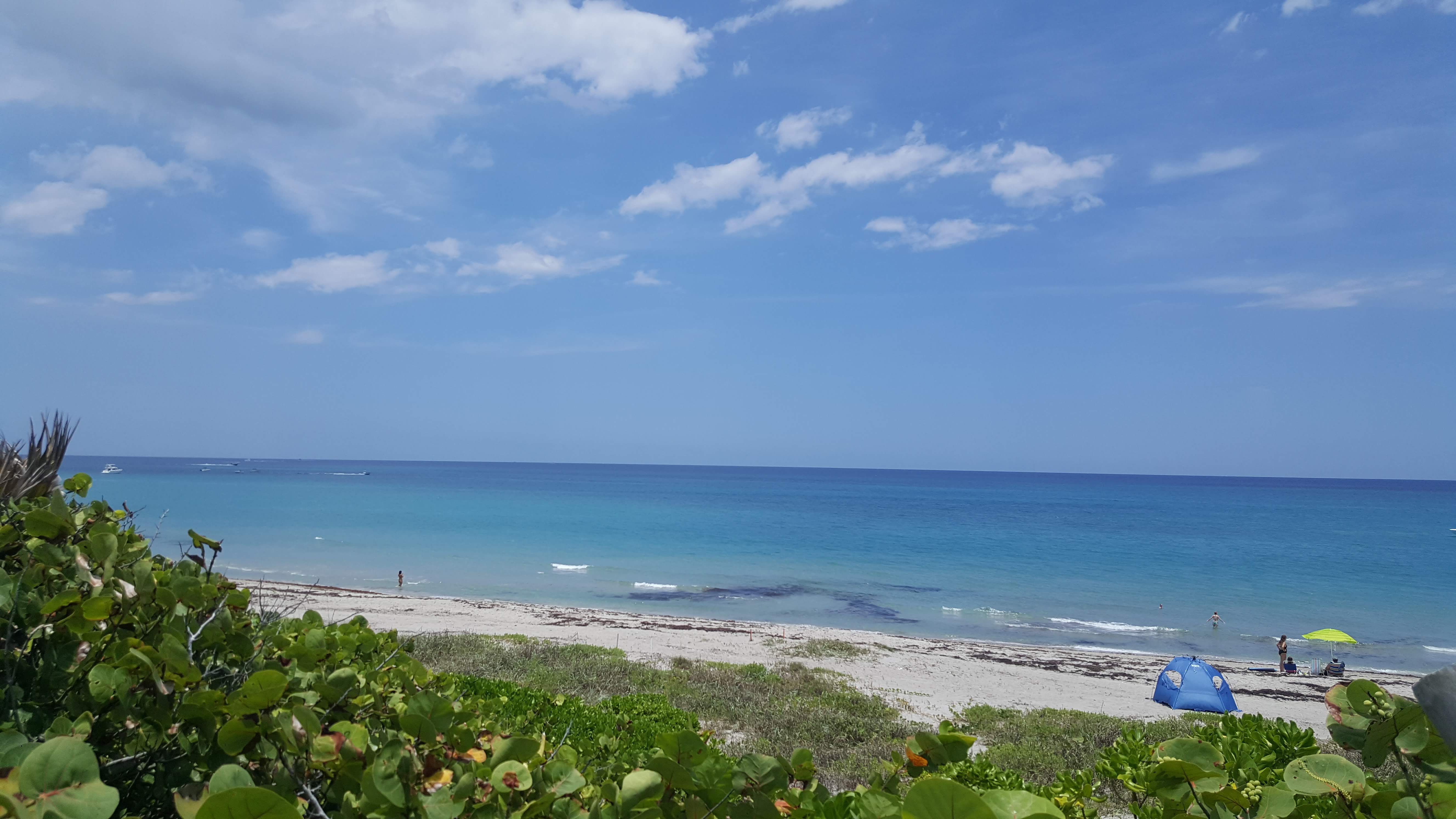 Wikimedia Commons (https://upload.wikimedia.org/wikipedia/commons/c/c0/Ladder_38_%40_Dog_Beach_in_Jupiter%2C_Florida.jpg)