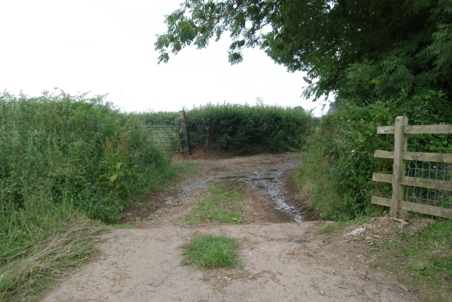 File:Lane, Holcombe Manor - geograph.org.uk - 195541.jpg