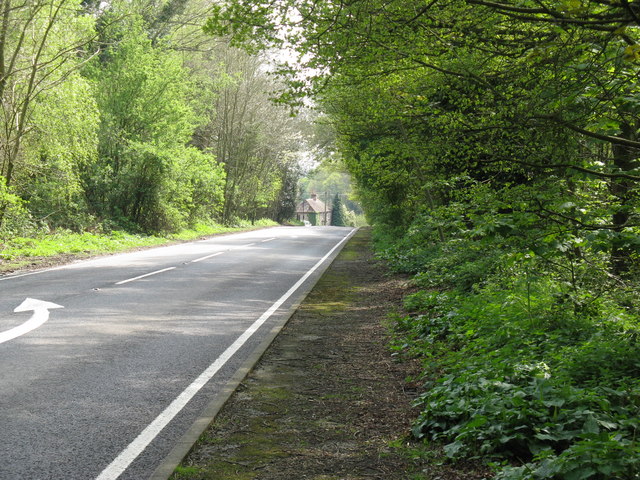 File:Looking south on the A283 - geograph.org.uk - 1260055.jpg