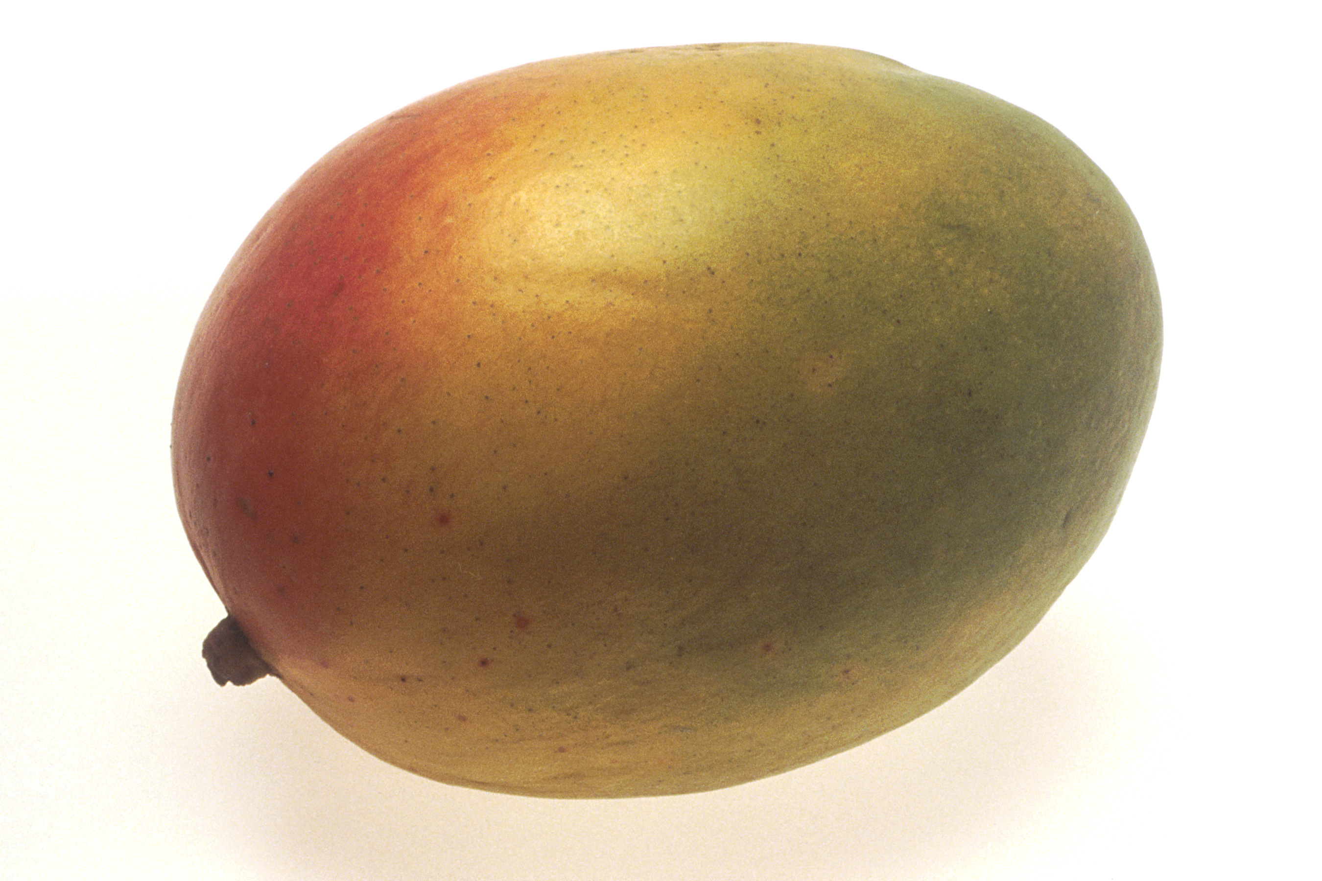 File:Mango - single.jpg - Wikimedia Commons