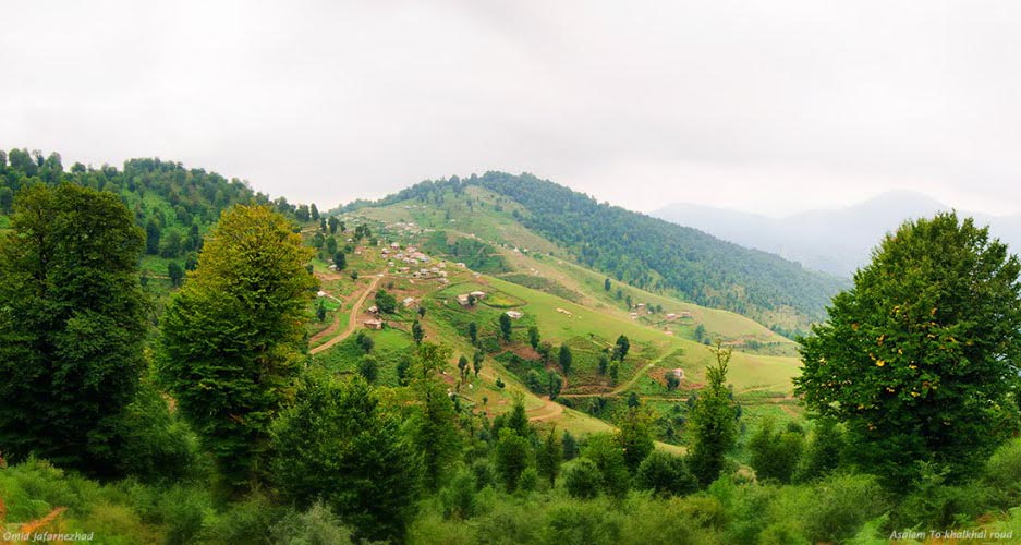 شهرستان تالش - ویکی‌پدیا، دانشنامهٔ آزاد