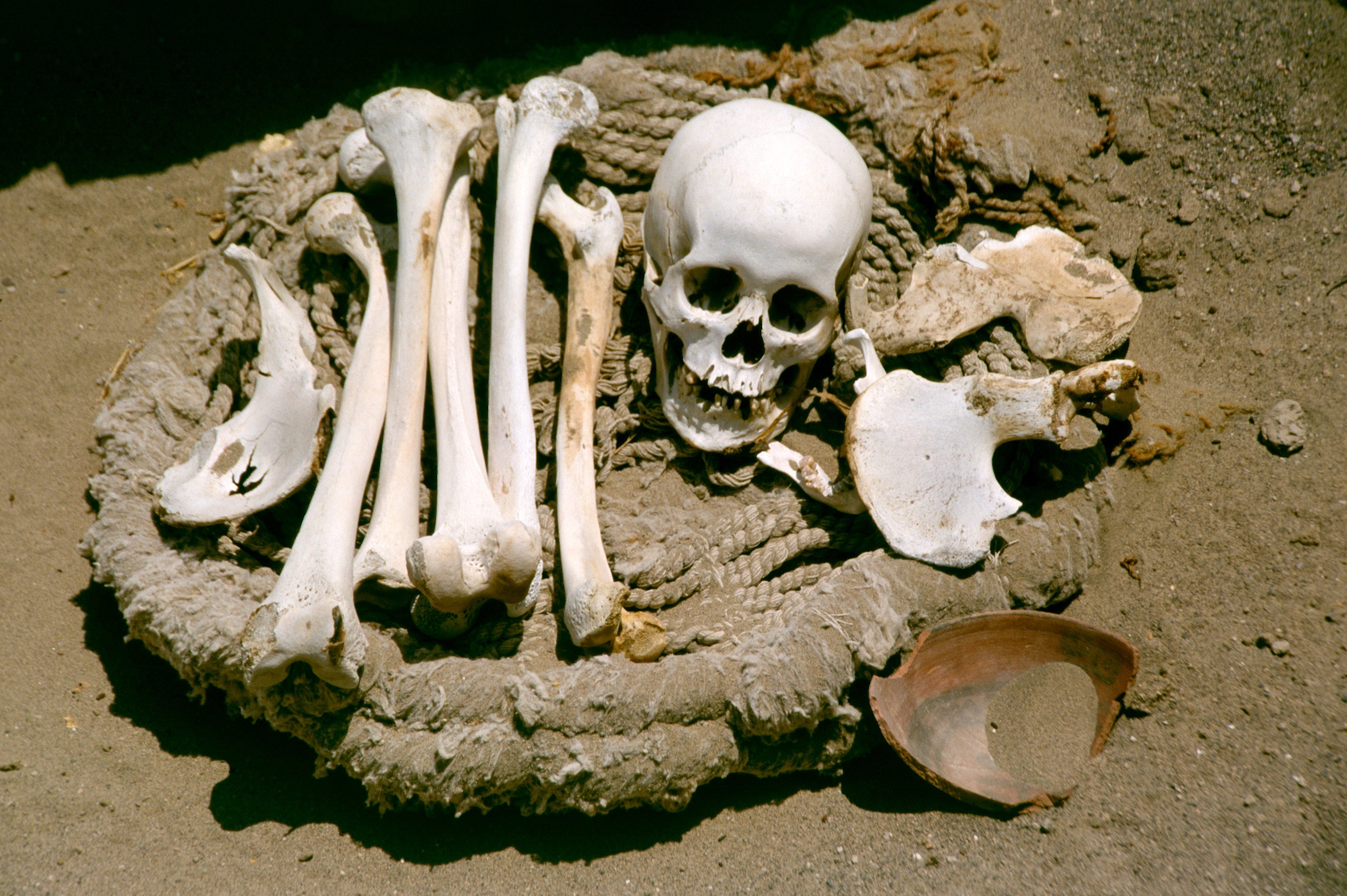 Resultado de imagen para restos humanos