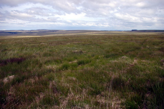 File:Open Spaces - geograph.org.uk - 501667.jpg