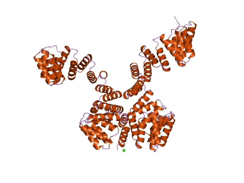 File:PDB 1w3b EBI.jpg