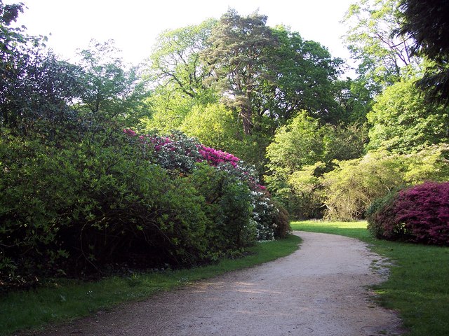 Path to Heaven's Gate, Longleat Park - geograph.org.uk - 445037