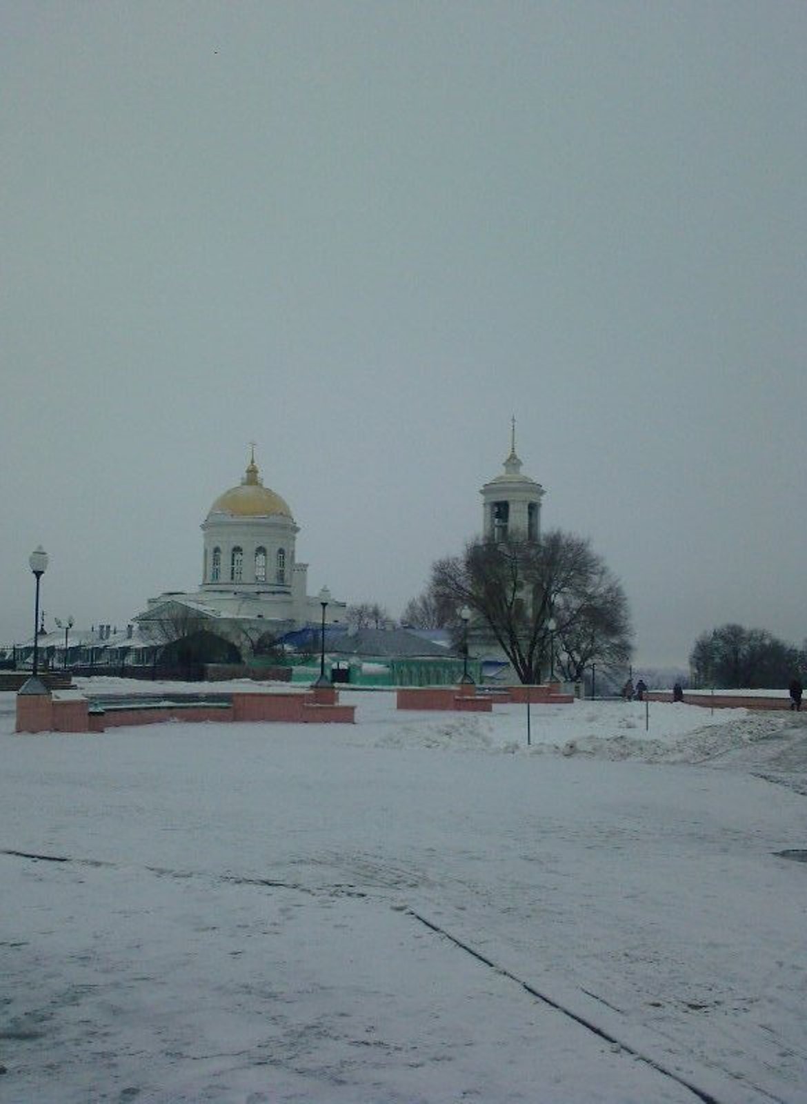 Воронеж Покровский собор 2009