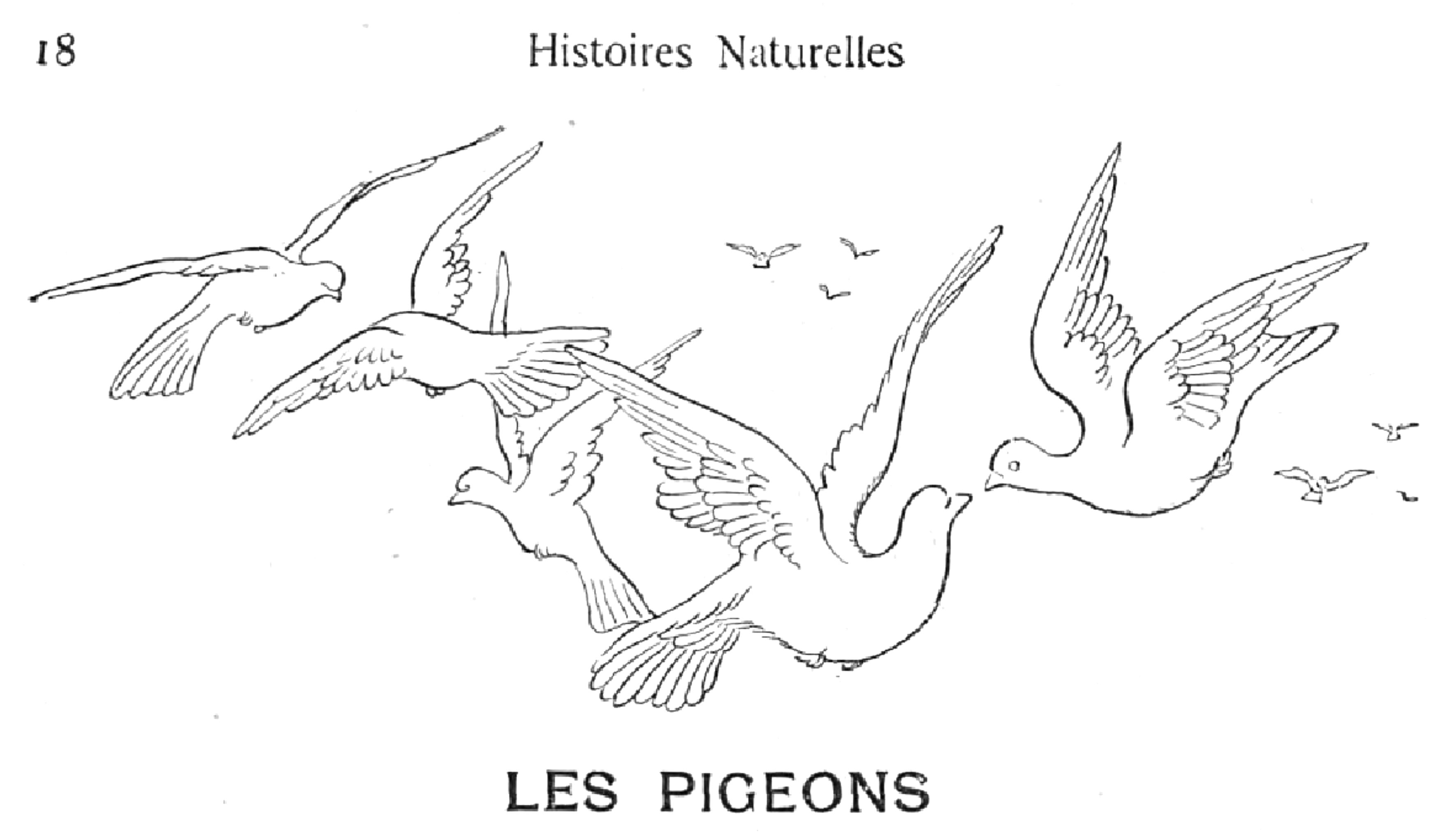 Fichier Renard Histoires Naturelles 1909 Jpg Wikipedia