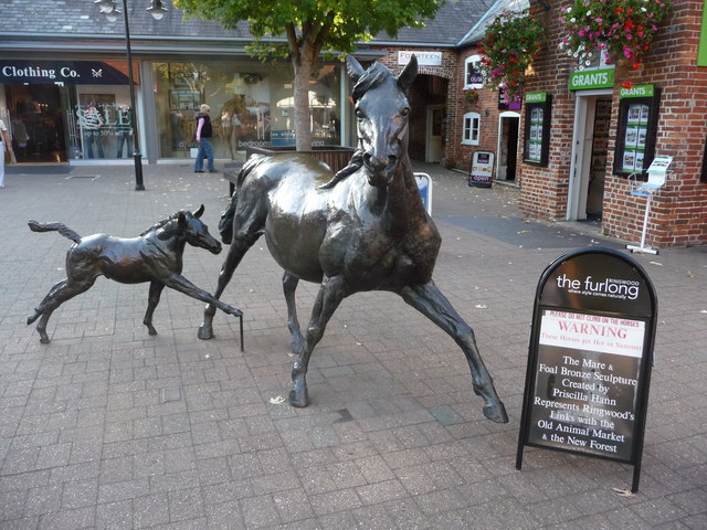 File:Ringwood , The Furlong, Bronze Horse Sculpture - geograph.org.uk - 1538761.jpg