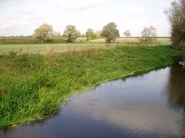 File:River Cam or Rhee, Haslingfield - geograph.org.uk - 70455.jpg