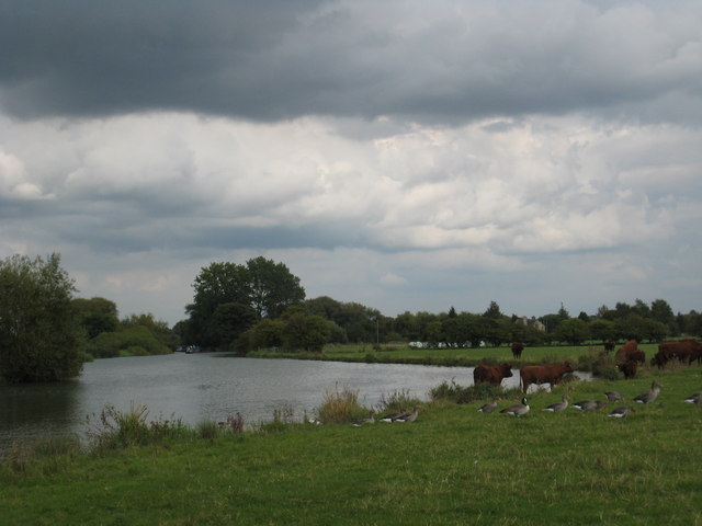 File:River bend on the Thames Path nr King's Lock - geograph.org.uk - 708480.jpg