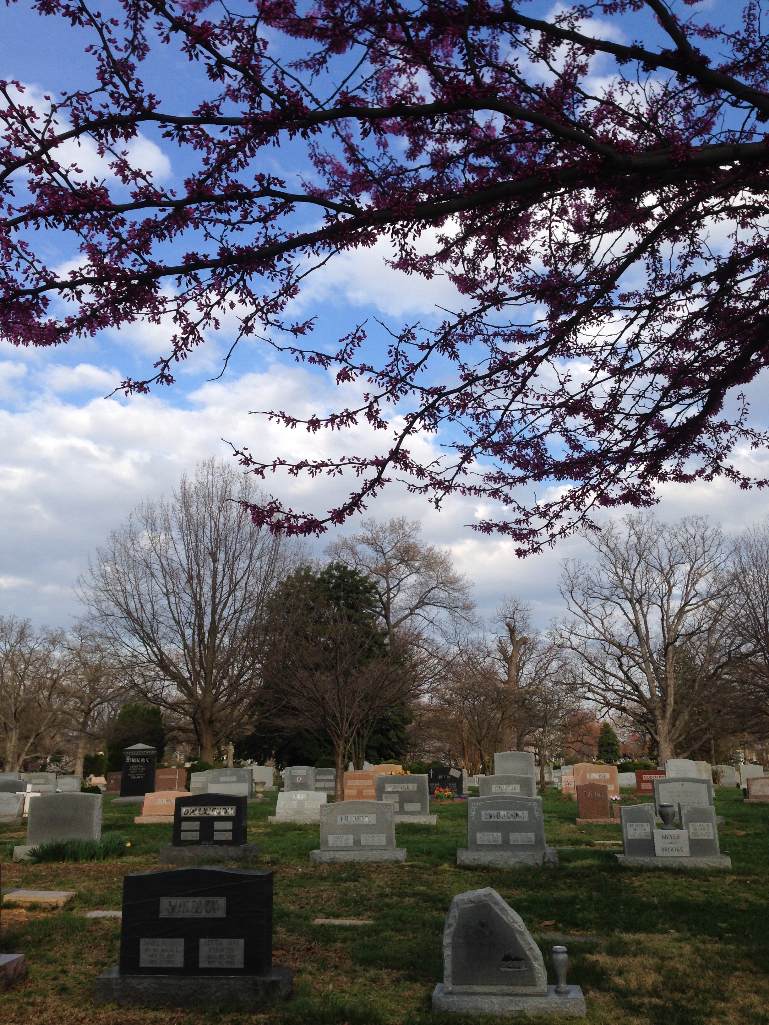 Columbia Gardens Cemetery Wikiwand