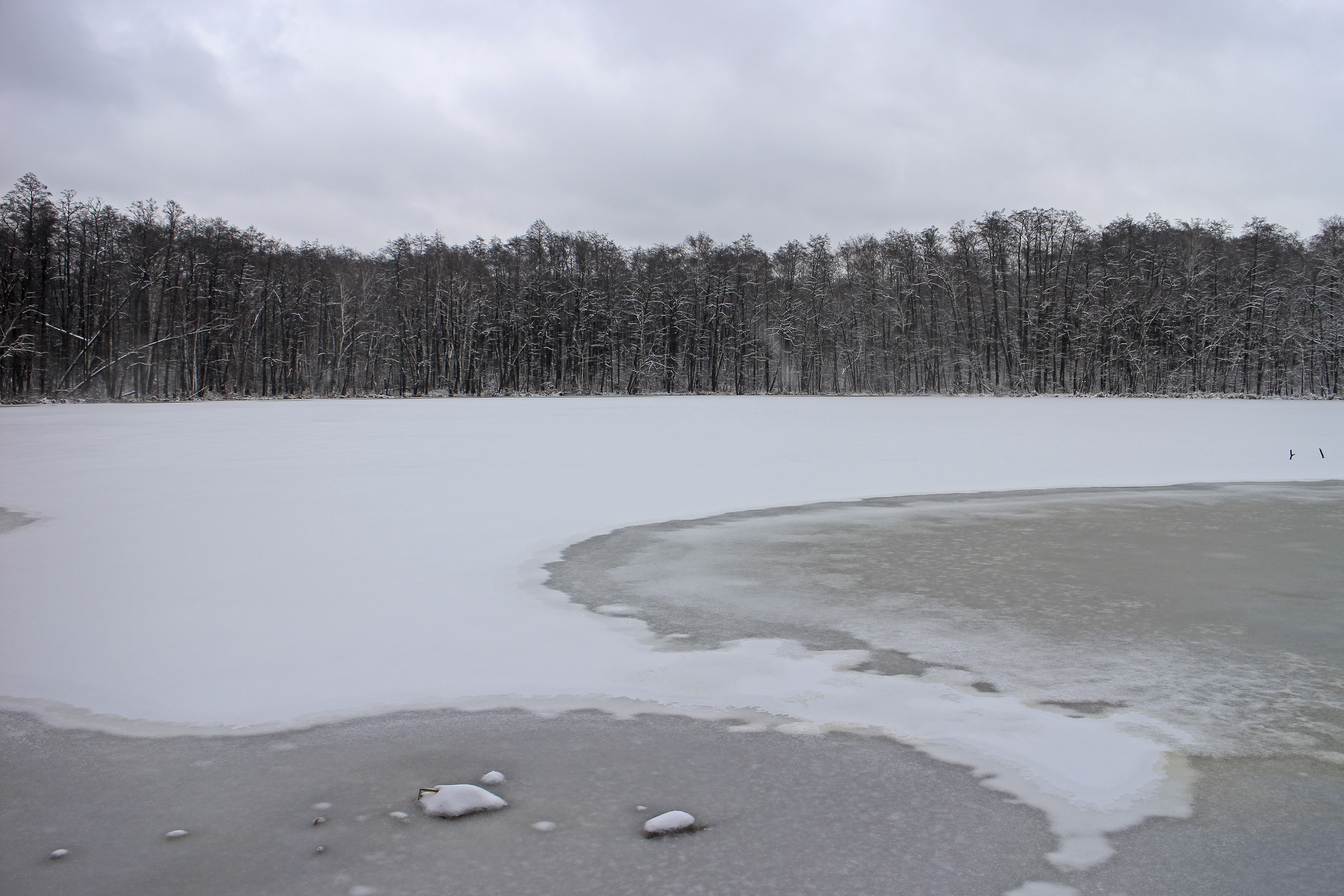 Святовское озеро Тамбов зимой