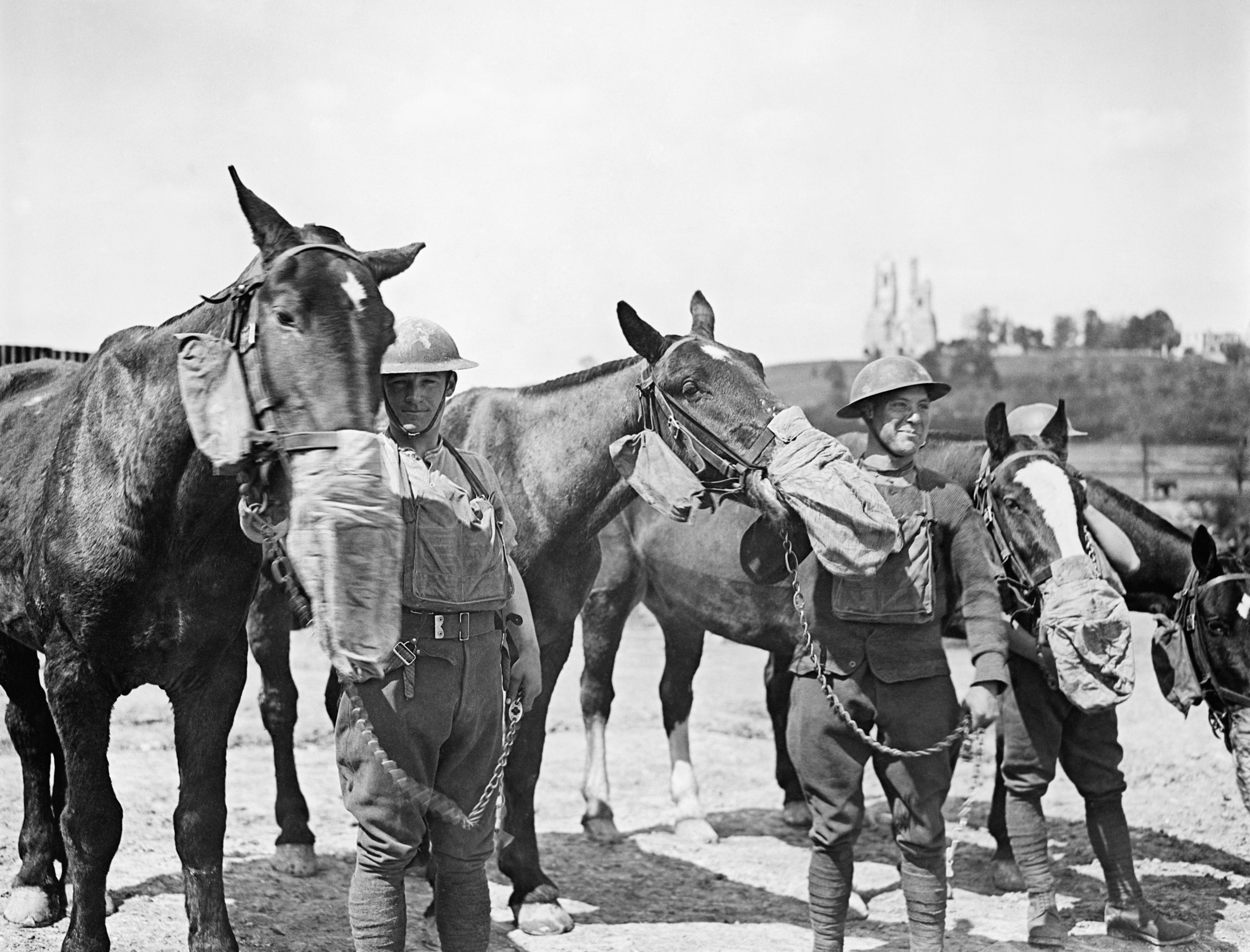 Вестерн фронт. Солдат в противогазе на лошади. A Horse in War. Ww1 guy on Horse. Измаил пал лошади.