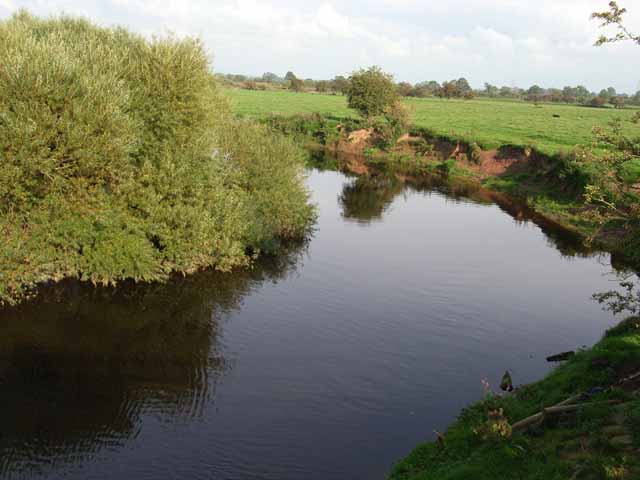 File:The River Lyne - geograph.org.uk - 248305.jpg