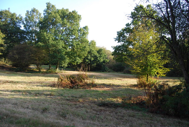 Tunbridge Wells Common - geograph.org.uk - 1517391