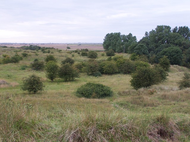 File:View towards Howden's Pullover from Toby's Hill - geograph.org.uk - 1075355.jpg