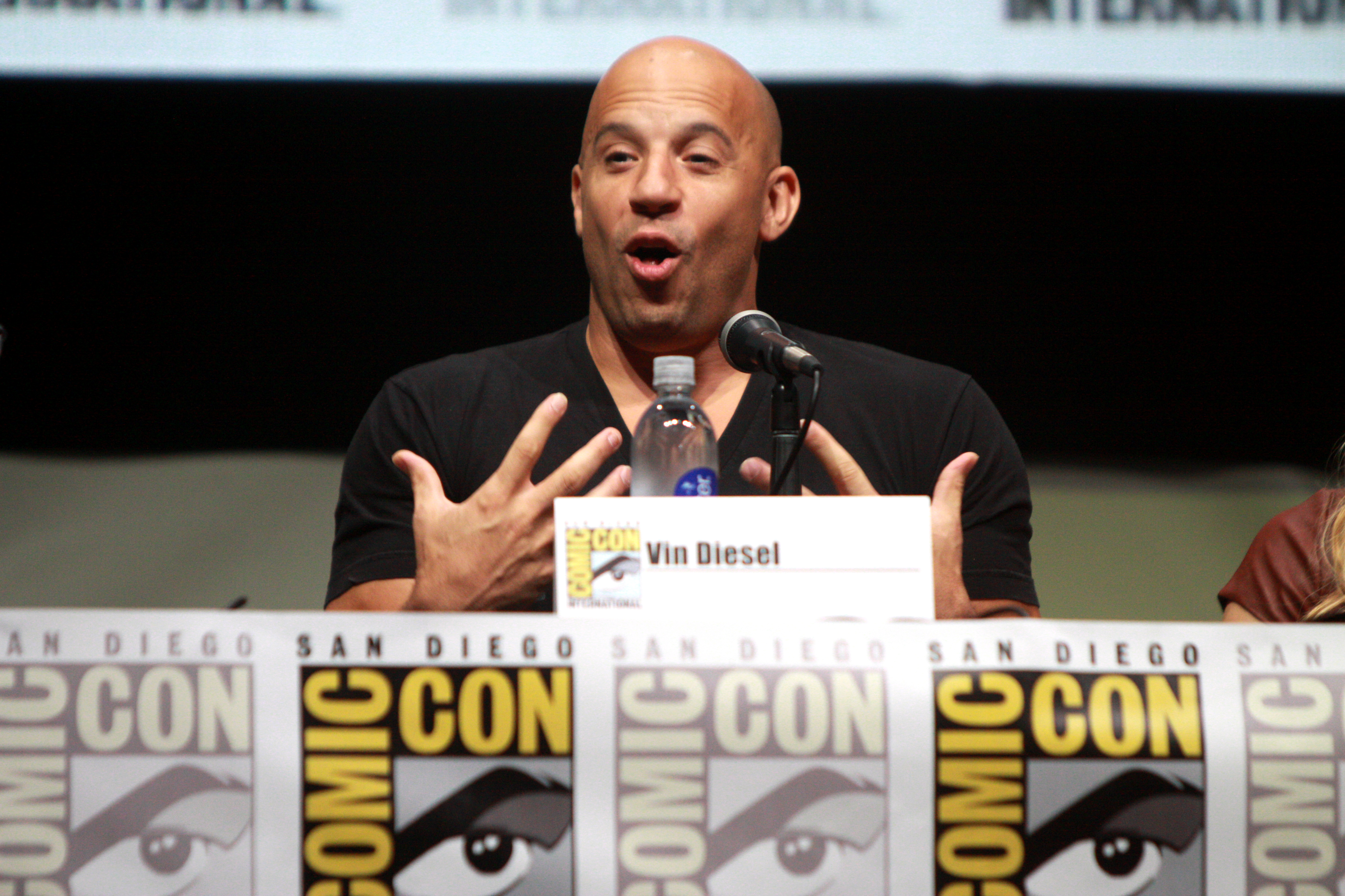 Vin Diesel photo #110957