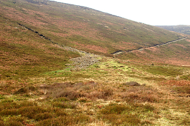 File:Western edge of Hareden Fell - geograph.org.uk - 652683.jpg