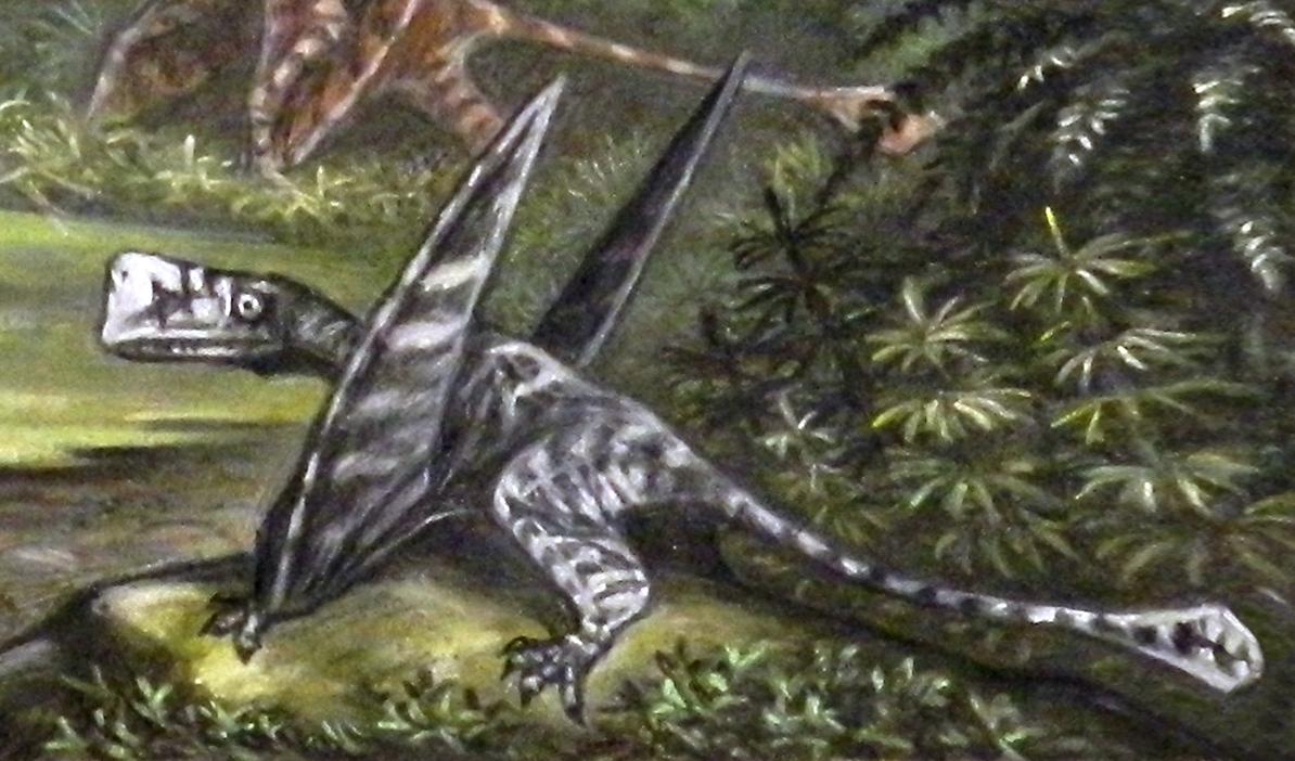 Velociraptor - Wikipedia