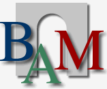 BAM-logo.PNG