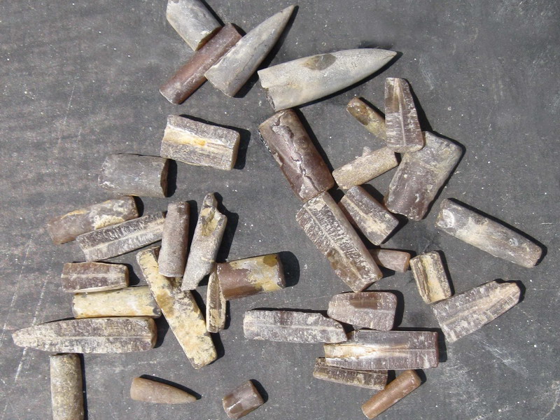 An image showing a pile of belemnite fossils, which are long pieces of stone that taper to a rounded point.
