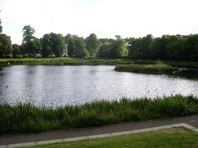 File:Bingham's Pond - geograph.org.uk - 844071.jpg