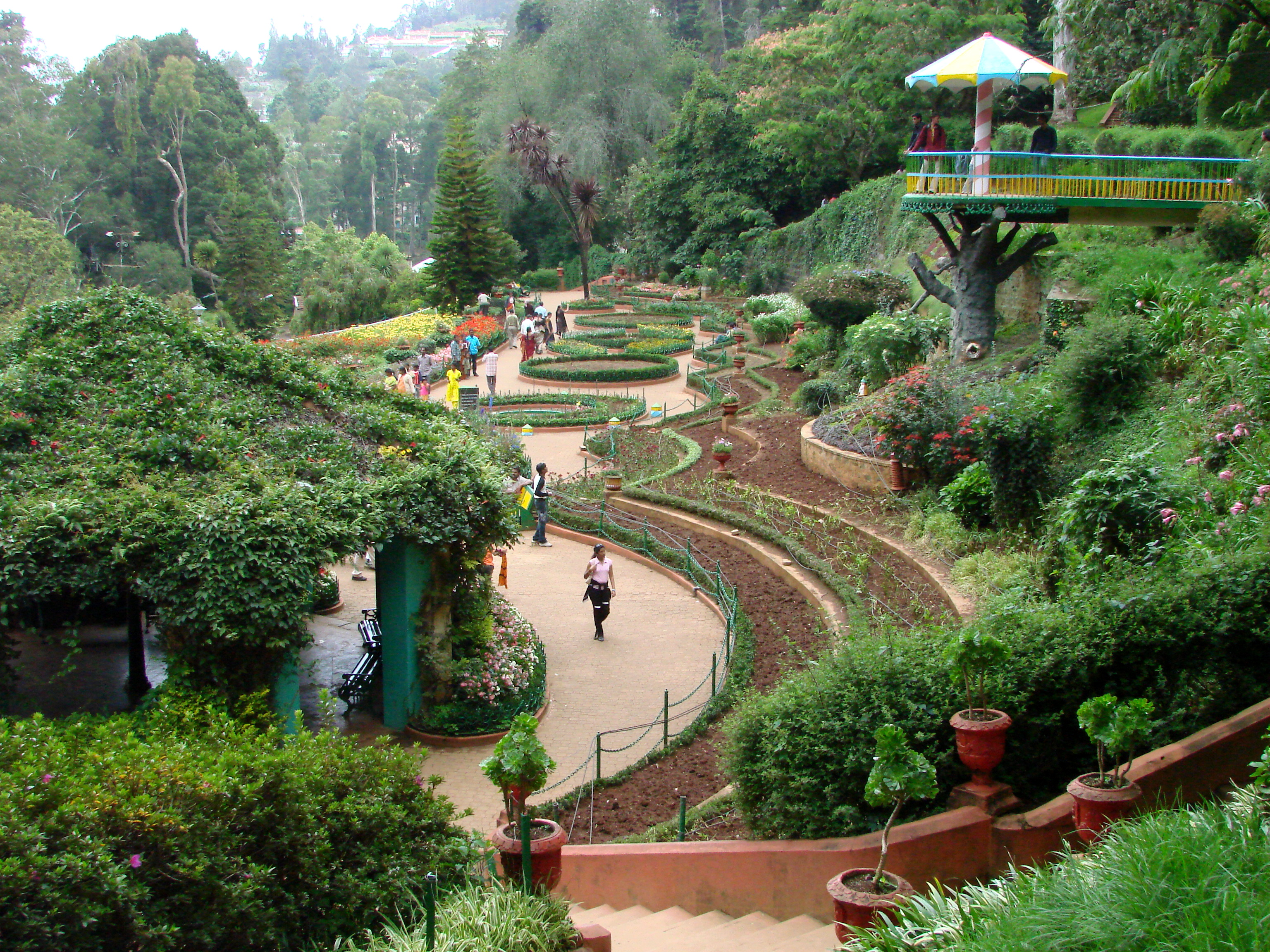 botanical garden