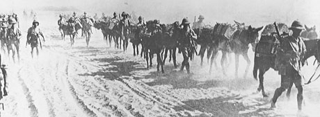 File:British Troops on the march in the desert c1916 (National Army Museum).jpg