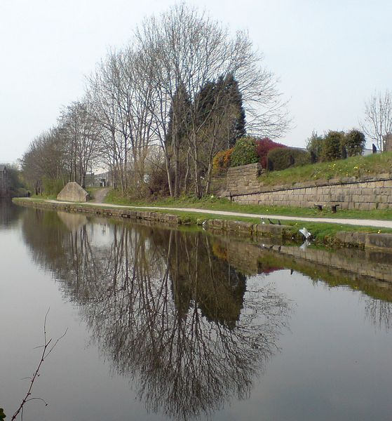 File:Canal reflections - geograph.org.uk - 398937.jpg