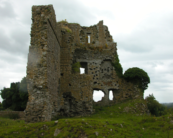 File:Carrick Castle, Kildare.jpg