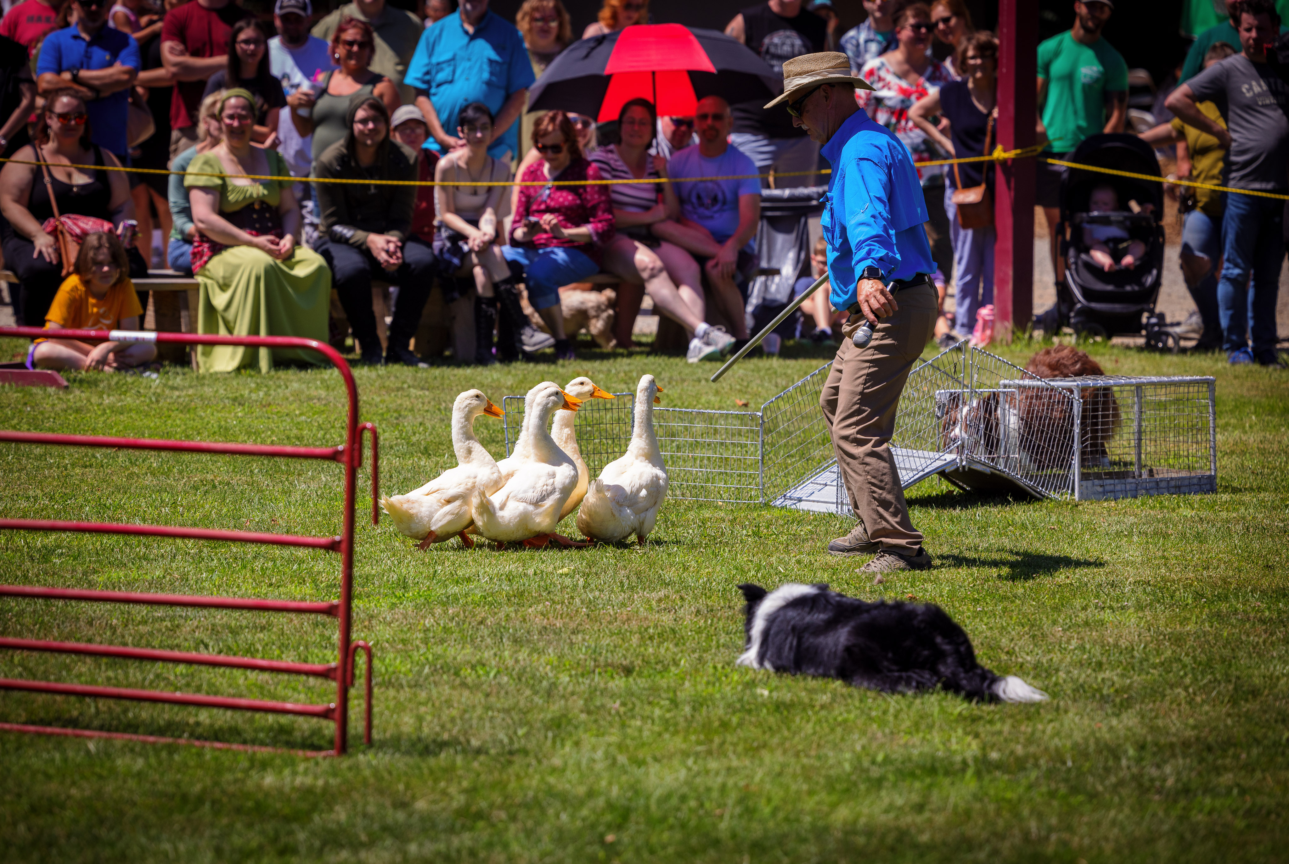 Celtic festival