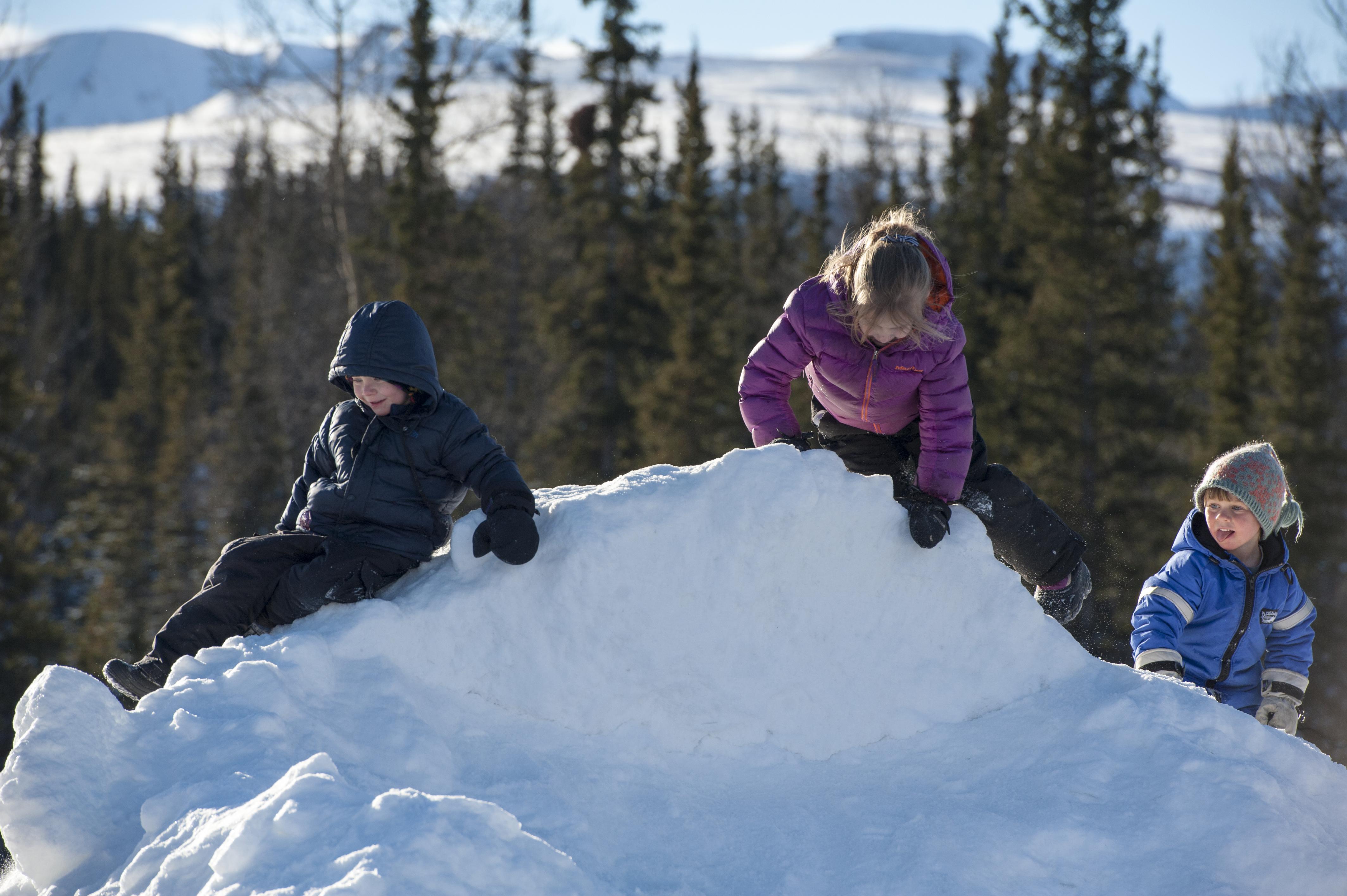 Доверие зима. Горы для детей. Дети горы зима. Канадский ребенок зимой. Счастливые дети в горах.