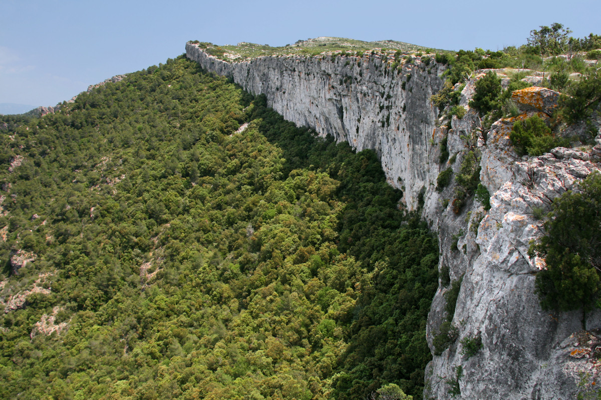 Железа серра фото