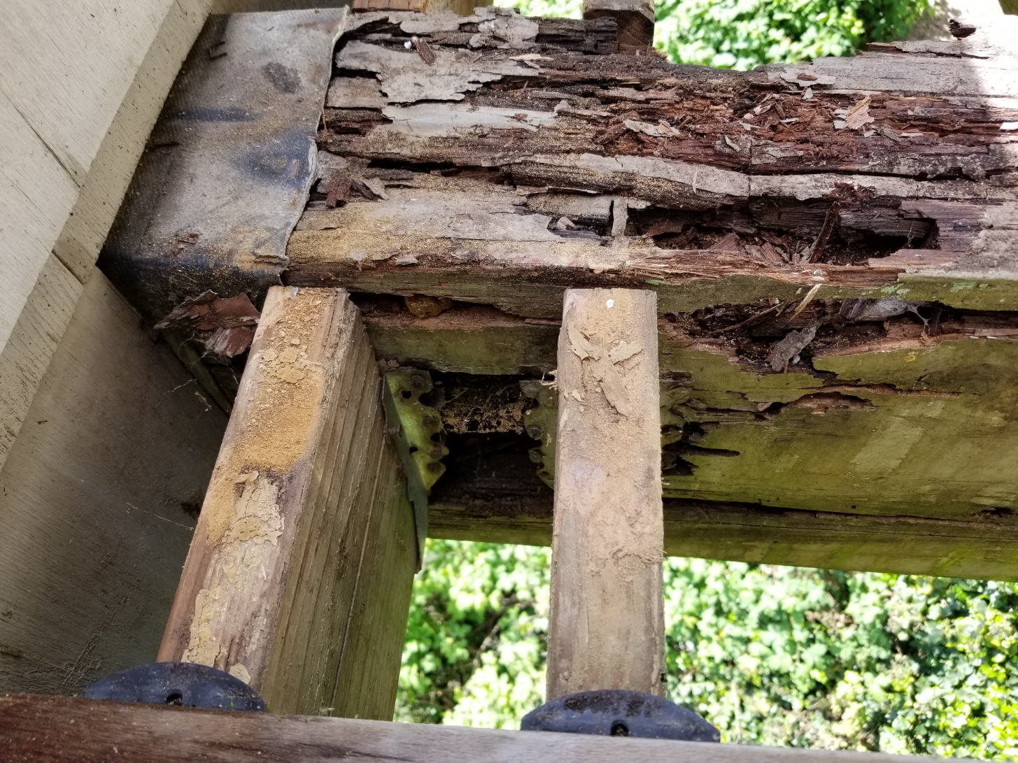 Can wood rot if dry?