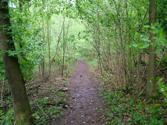 Descending on the path from Whitbarrow - geograph.org.uk - 1293022