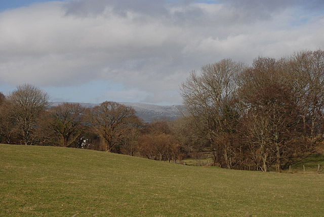 File:Field by Coed y Fedw - geograph.org.uk - 1724320.jpg