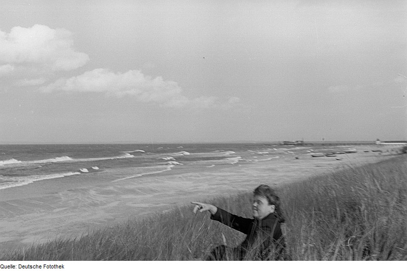 File:Fotothek df pk 0000238 009 Sommer 1946.jpg