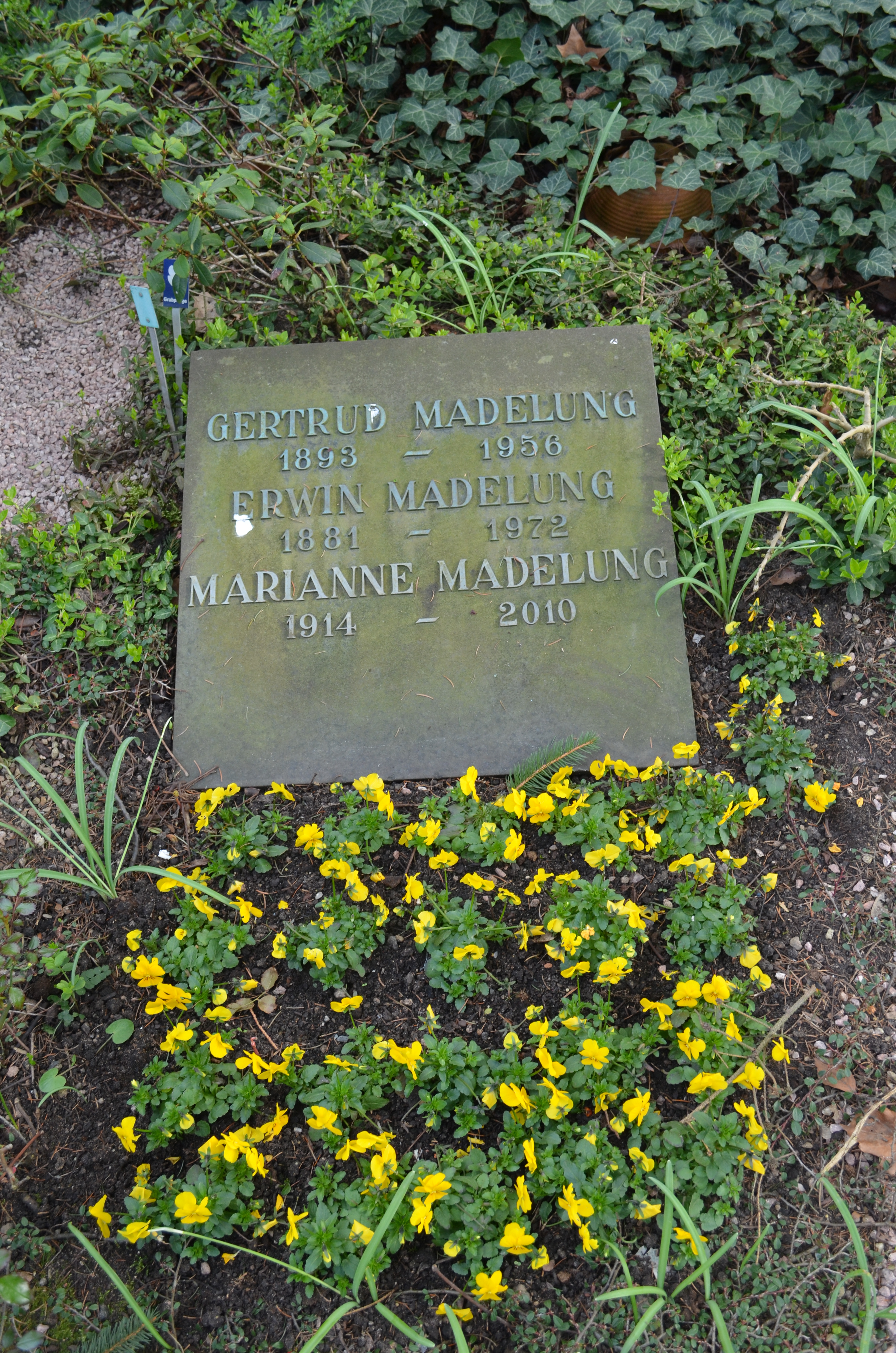 Madelung’s gravestone, buried along with his wife and daughter