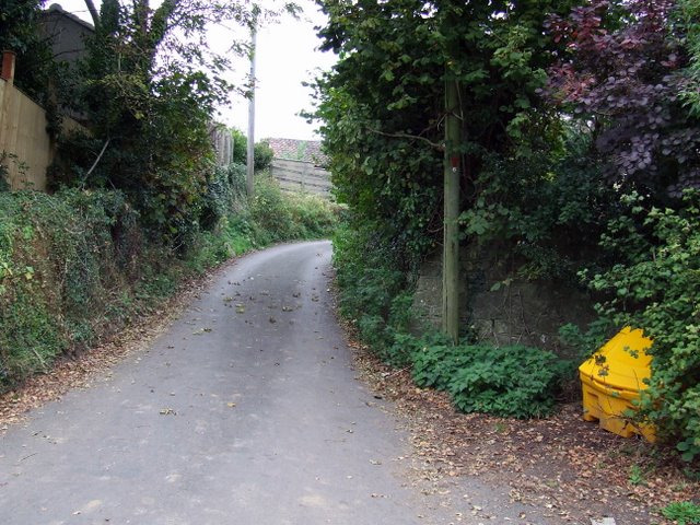 File:Frog Lane - geograph.org.uk - 1551181.jpg