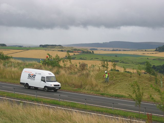 File:Grass cutting on the A1 - geograph.org.uk - 42066.jpg