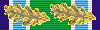 Medaille van de burgerwacht