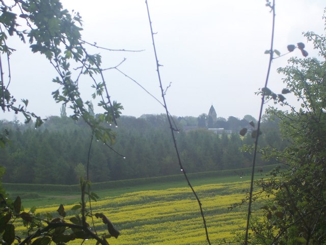 File:Hawkley Church from Hawkley Hanger - geograph.org.uk - 165921.jpg