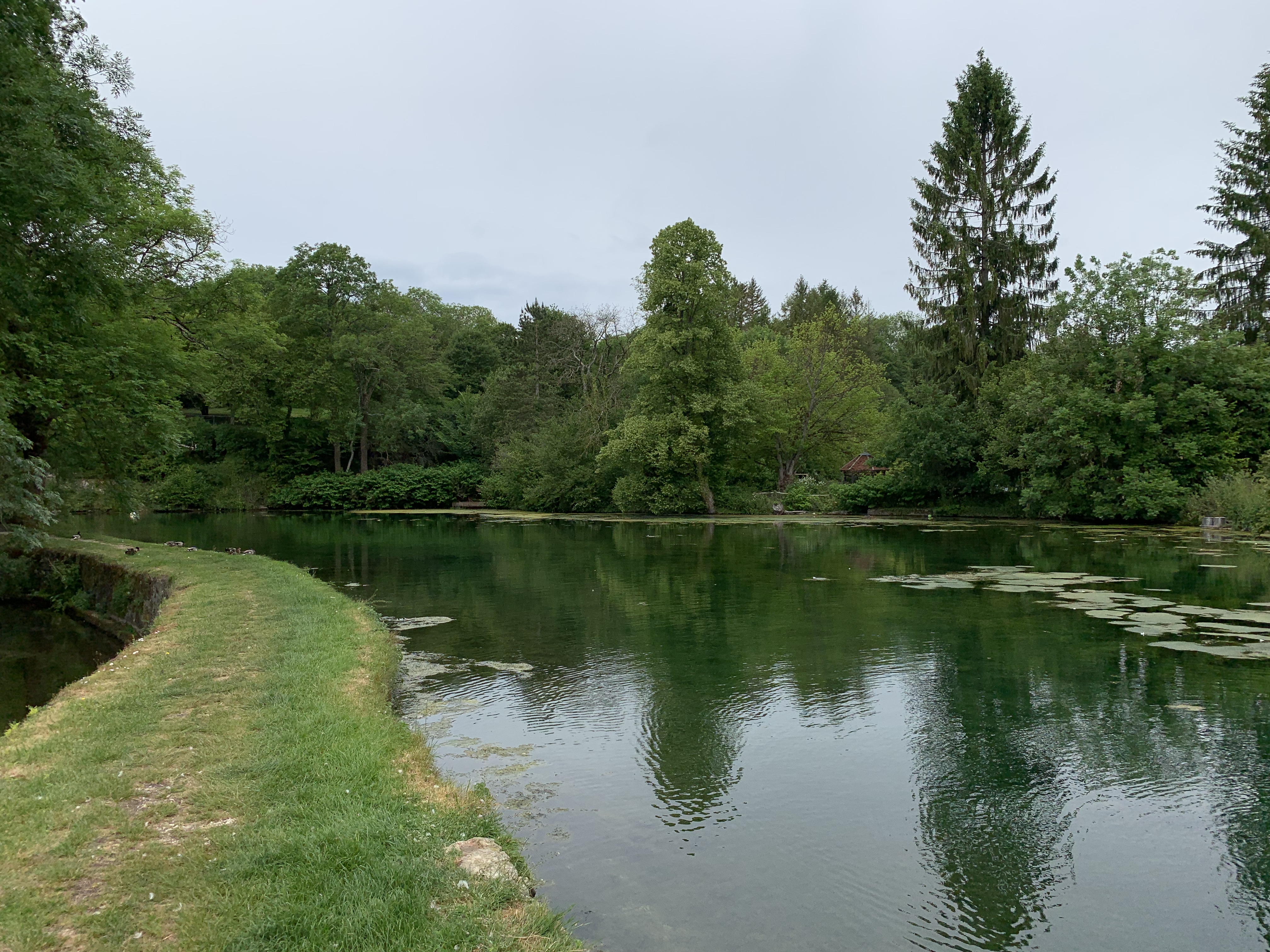 File Lac Des Sources Druyes Les Belles Fontaines Juin 2019 4