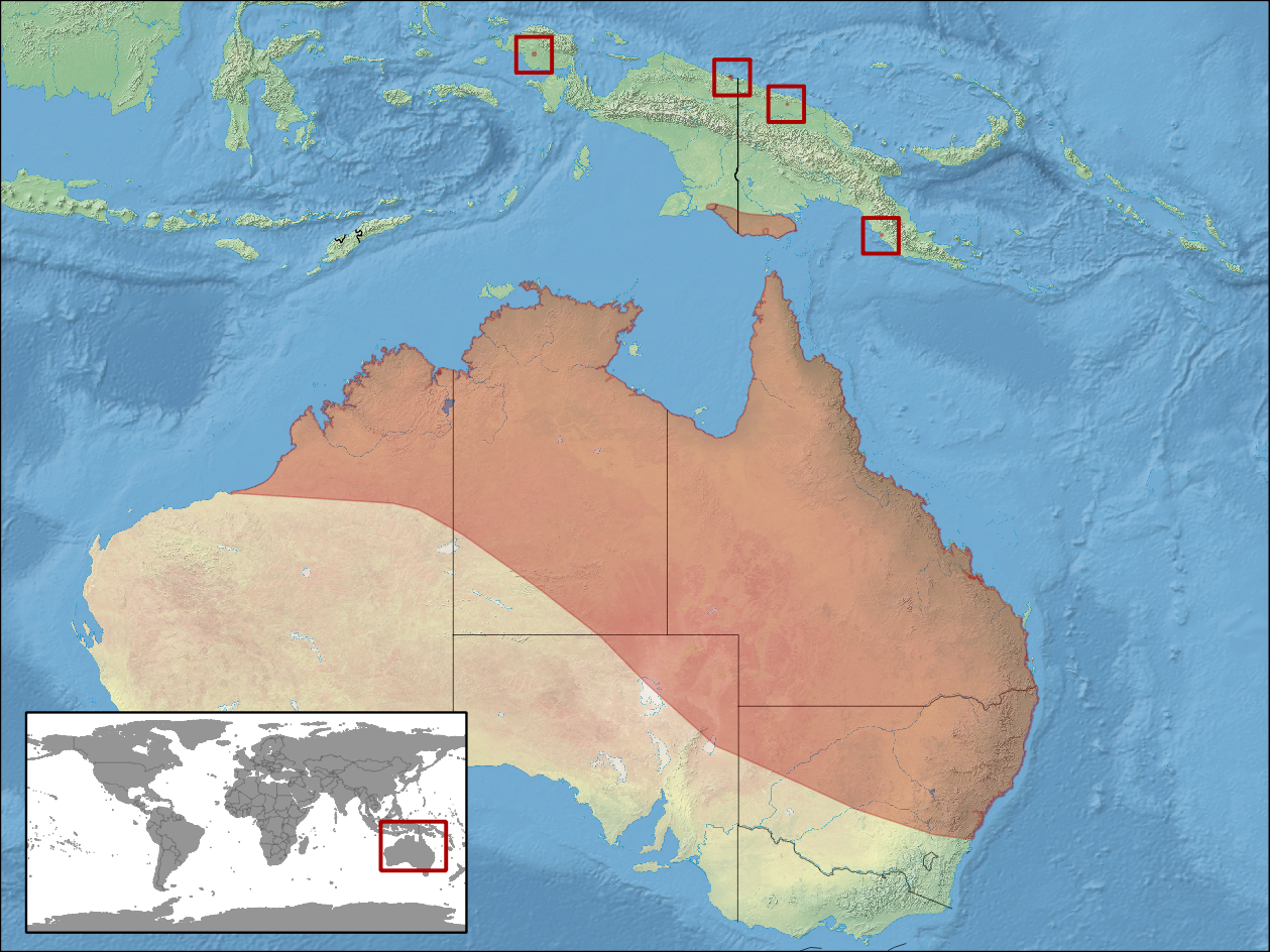 В изоляции австралия. Австралийское флористическое царство на карте. Флористические царства Австралии. Австралийское царство границы. Флористическое деление суши австралийское царство.