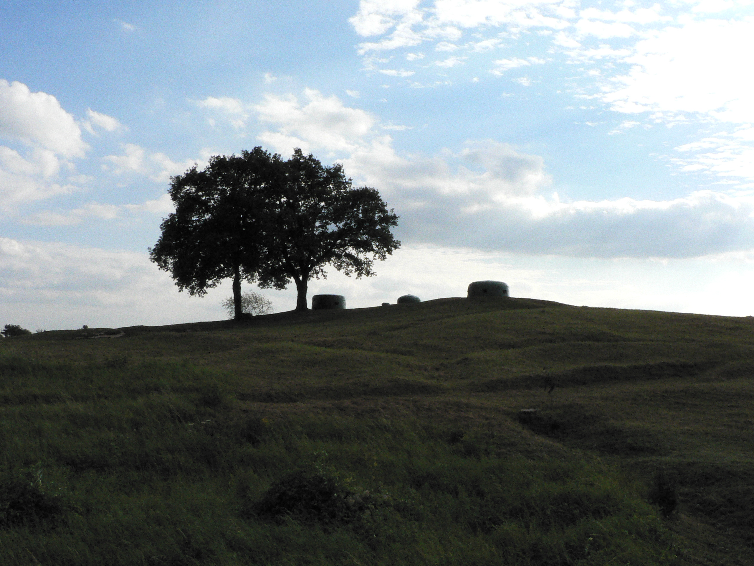 Festungsfront Oder-Warthe-Bogen | Military Wiki | Fandom