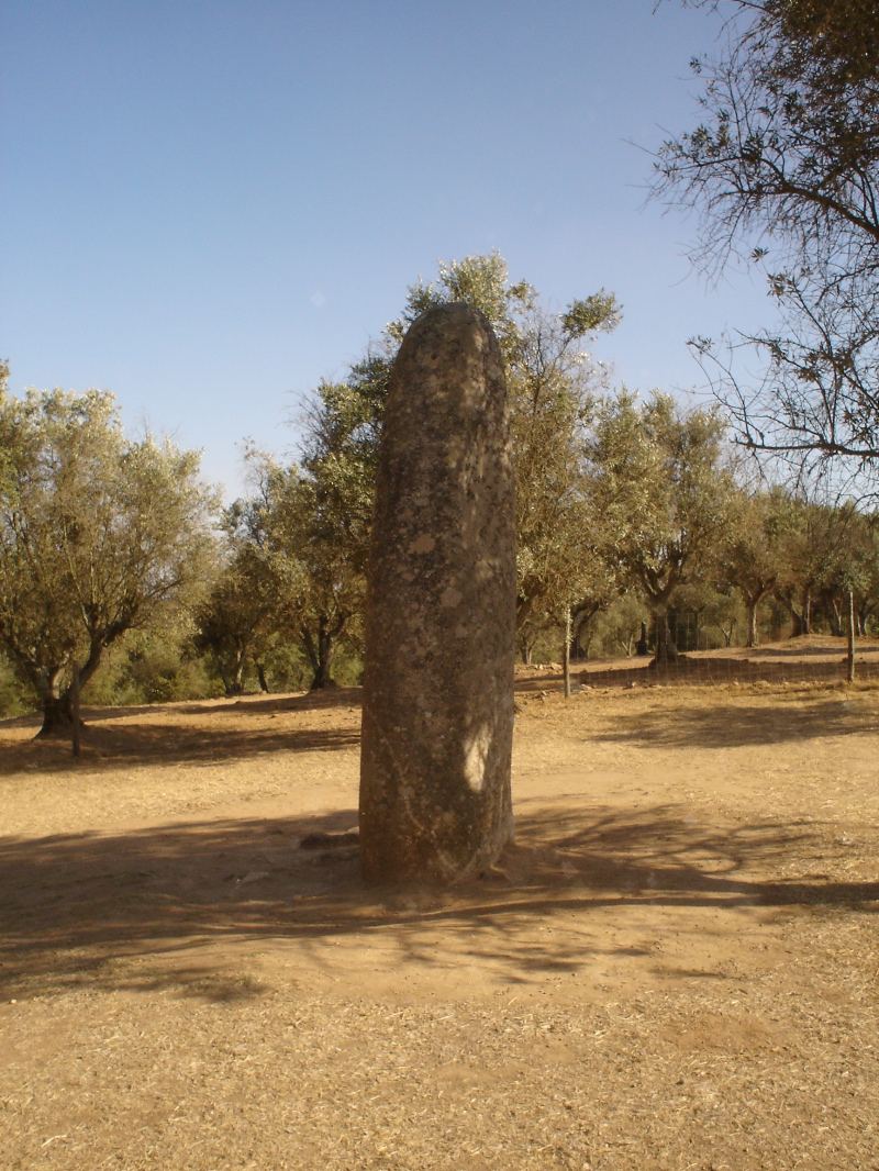         Menhir Menir_Almendres