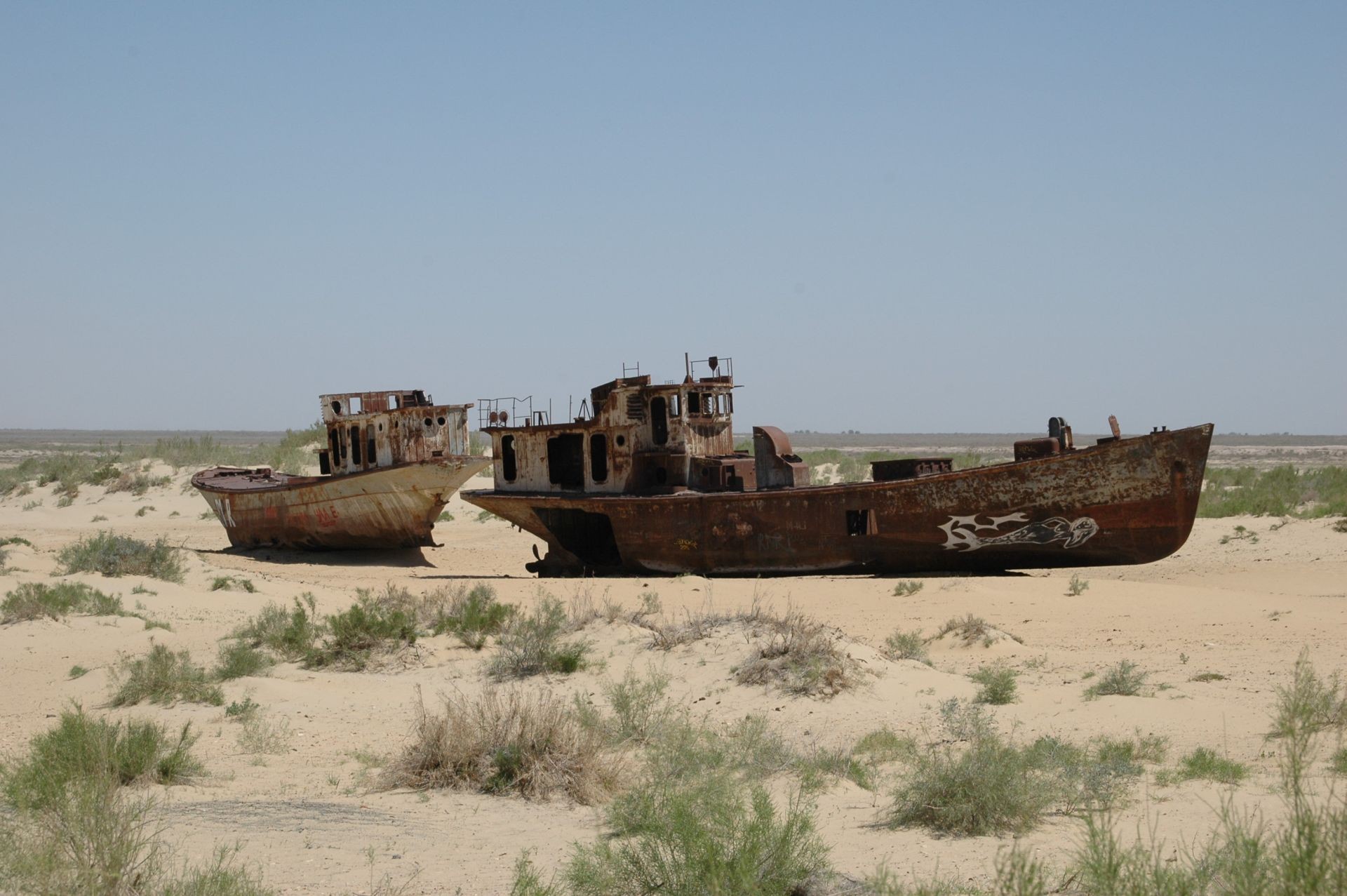 аральское море остров возрождения