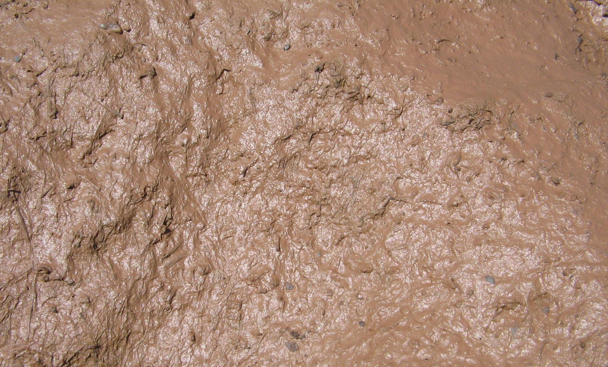 Mud_closeup.jpg