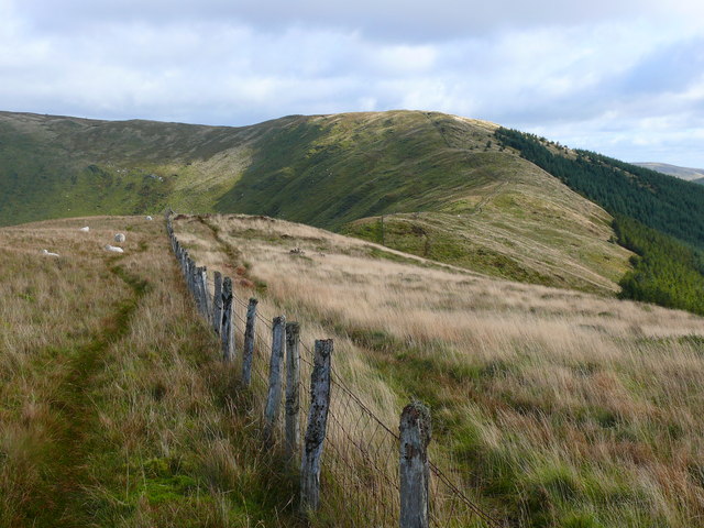 Mynydd Ceiswyn