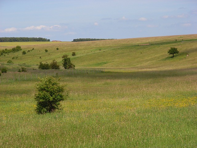 File:Netheravon Down - geograph.org.uk - 457150.jpg